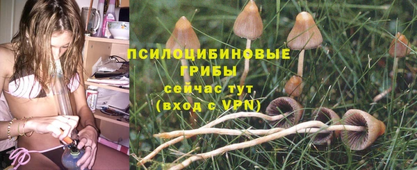 крисы Иннополис