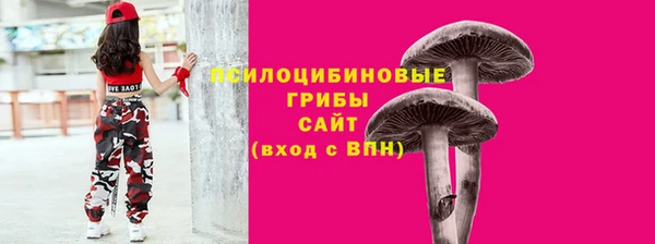 MESCALINE Инсар